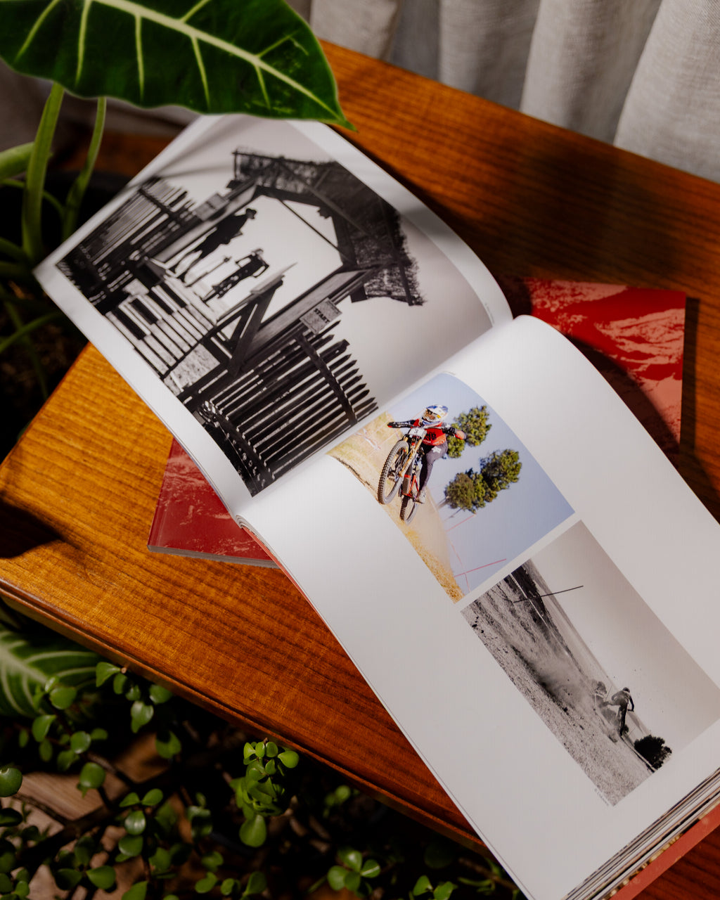 Southern Roots - 2025 Oceania Continental Downhill Series Yearbook